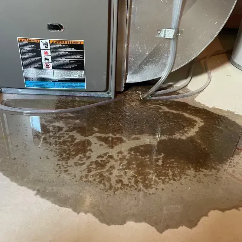 Appliance Leak Cleanup in Olympia Fields, IL